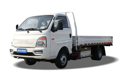 Electric Light Truck