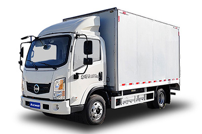 Electric Light Duty Truck